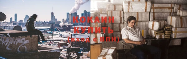 прущие грибы Алексин
