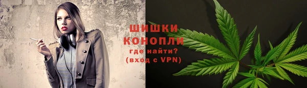 прущие грибы Алексин