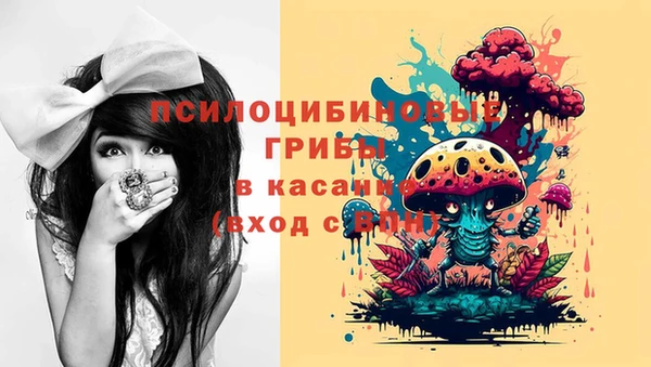 тгк Алзамай