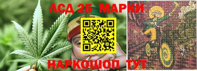 дживик Гай
