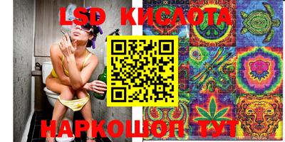 прущие крисы Абинск