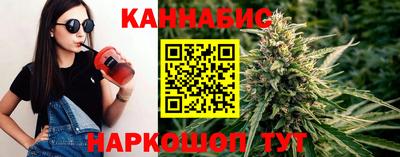 PSILOCYBIN Гатчина