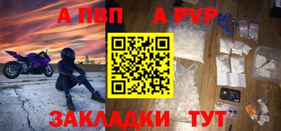 PSILOCYBIN Гатчина
