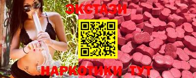 PSILOCYBIN Гатчина